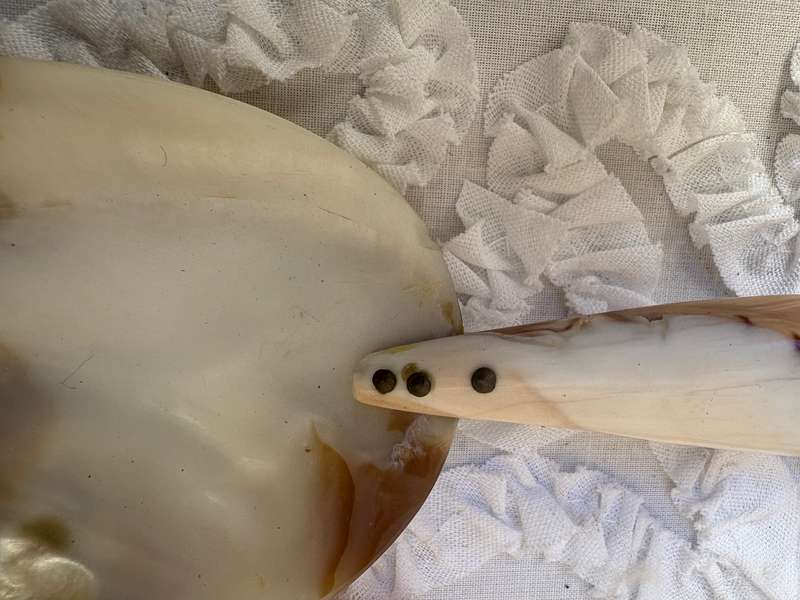 Vintage Mother of Pearl  Abalone spiral shell brass caviar spoon pair
