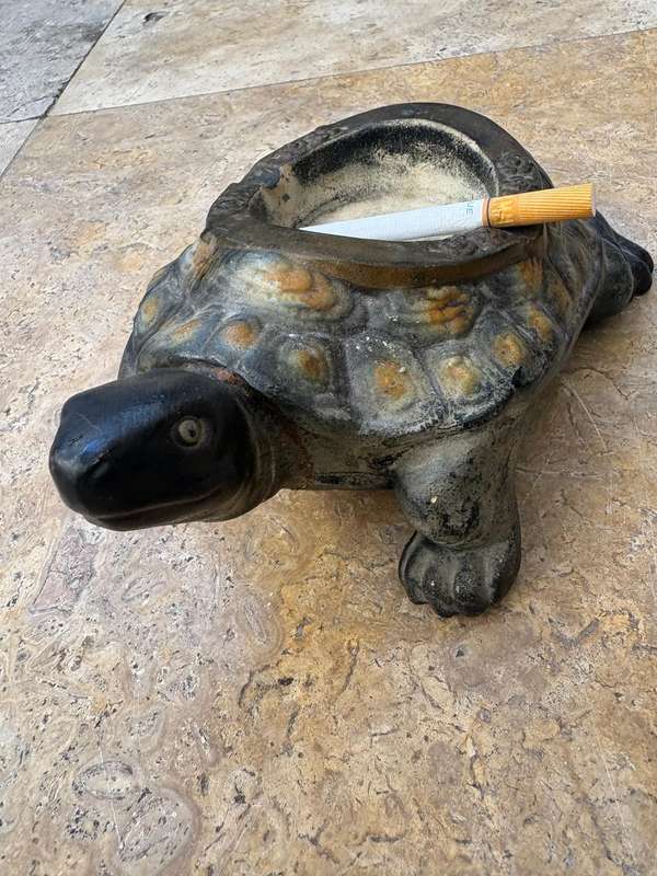 Vintage Chinese ceramic turtle tortoise ashtray life size