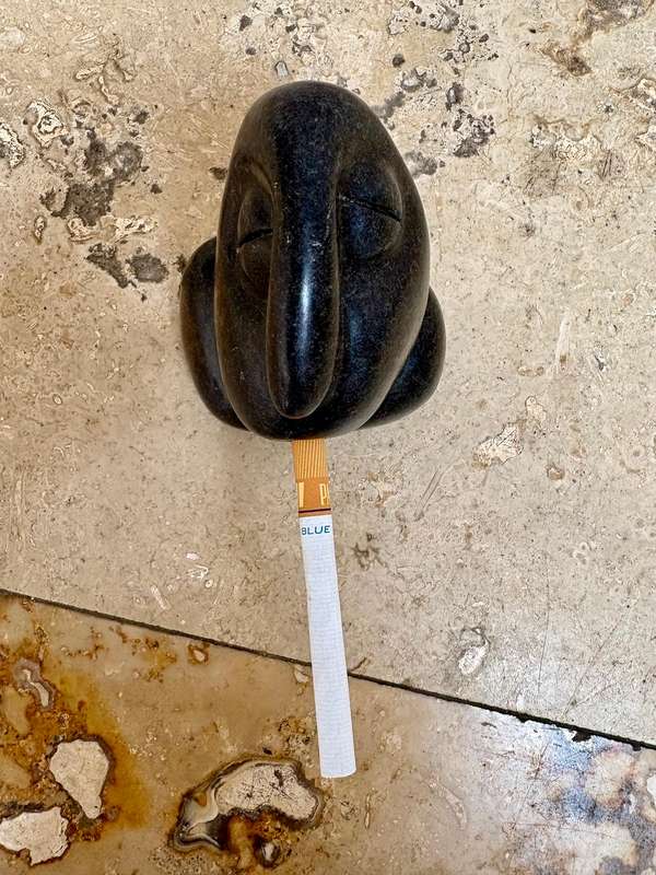 Shona stone sculpture by Fanizani Akuda whistling head Zimbabwe international known abstract Africa