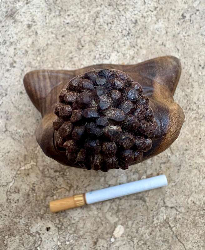 Sitting wood Buddha