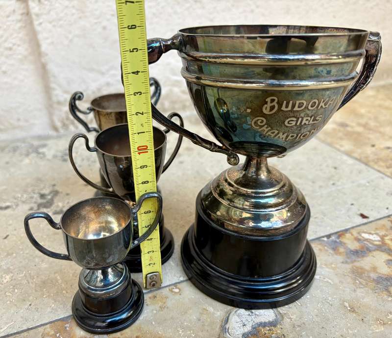Vintage trophy medium  with 3 small blank trophies epns