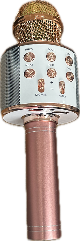 WIRELESS MICROPHONE HIFI SPEAKER