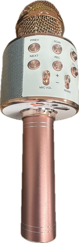 WIRELESS MICROPHONE HIFI SPEAKER
