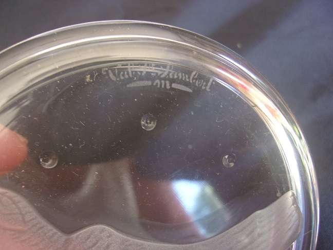 Boxed set of 6 Val-St.Lambert etched crystal coasters - birds