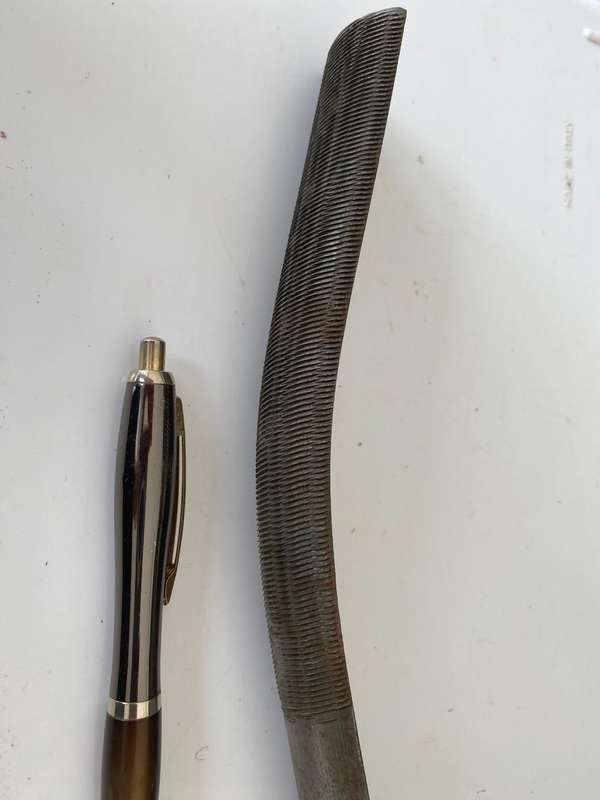 S-shaped File Rasp.