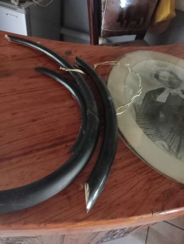 ANTIQUE 1920 POTO WITH GLASS