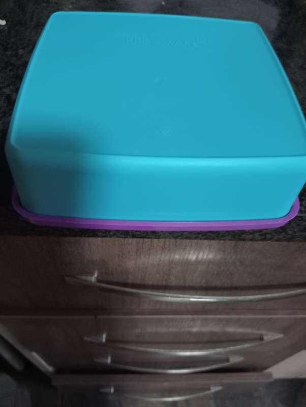 2 NEW TUPPERWARE LUNCHBOXES
