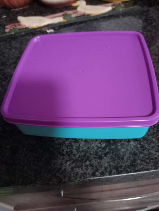 2 NEW TUPPERWARE LUNCHBOXES