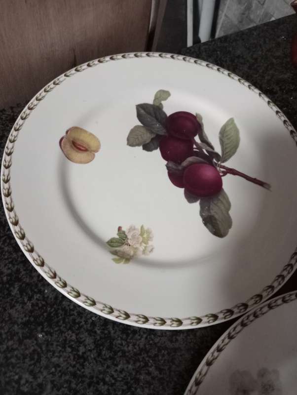 2 VINTAGE HAND PAINTED PLATES