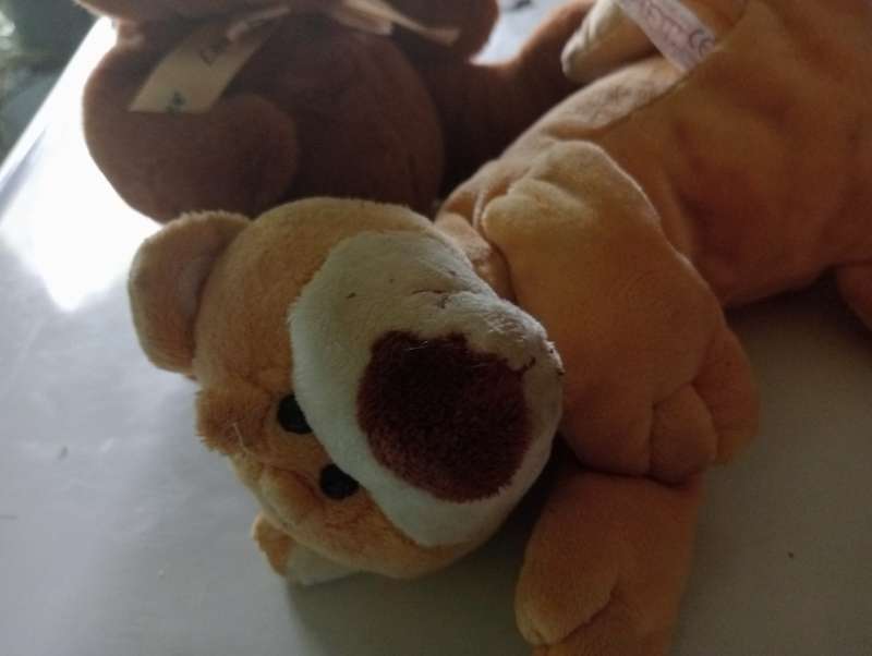 2 SMALL STUFFED SOF ANIMALS