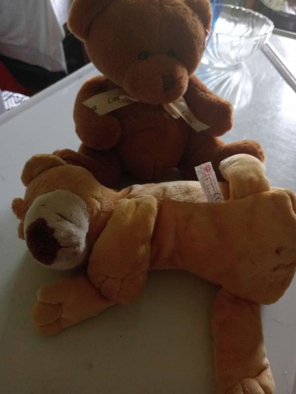 2 SMALL STUFFED SOF ANIMALS