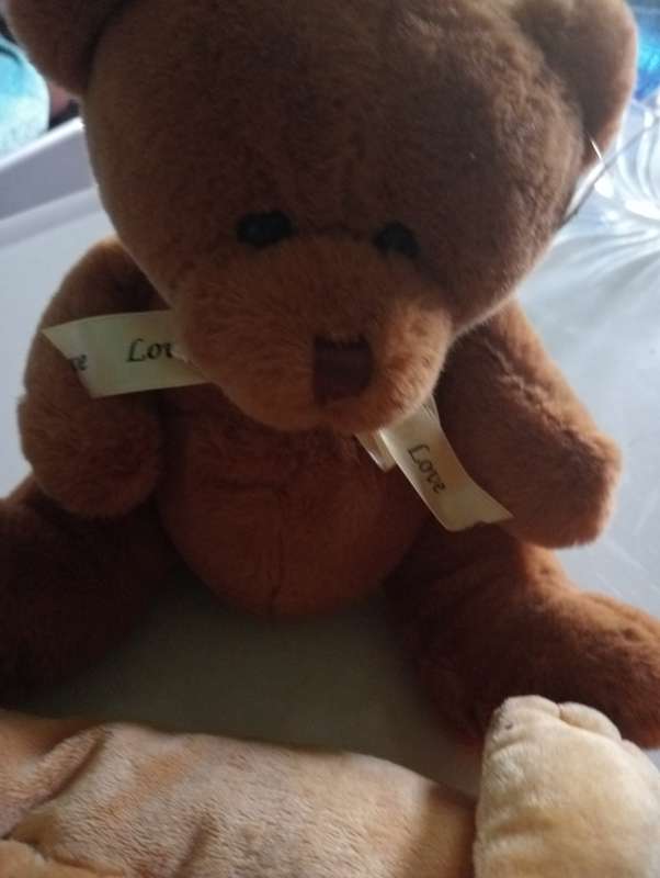 2 SMALL STUFFED SOF ANIMALS
