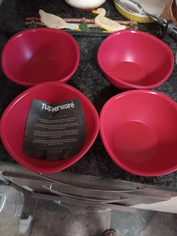 4 NEW TUPPERWARE PORRIDGE BOWLS