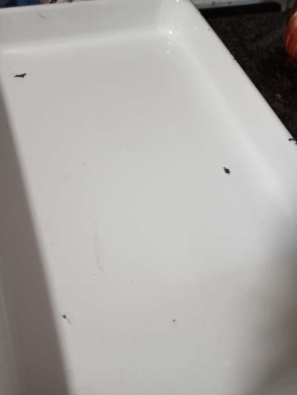 VINTAGE ENAMEL PAN