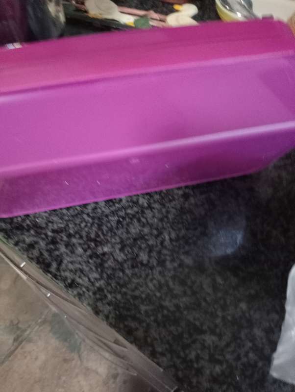 NEW 980 ML TUPPERWARE LUNCHBOX