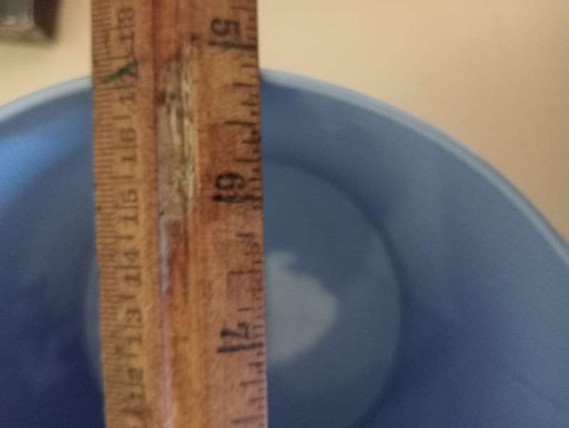VINTAGE BLUE COLLECTABLE COOKIE TIN