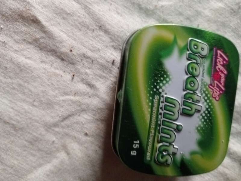Vintage Small breath mints tin