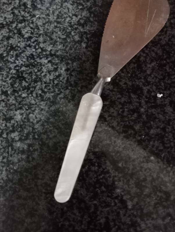 VINTAGE CAKE LIFTER PEARL HANDLE