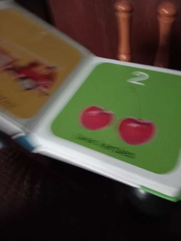 BABA BIBLIOTEEK DIER EN SYFERS