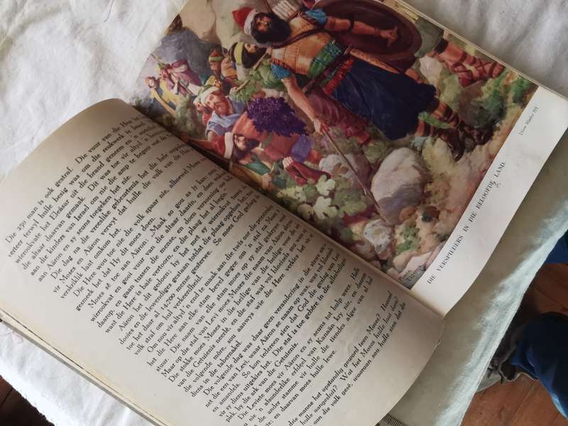 DIE AFR KINDERBYBEL 1949