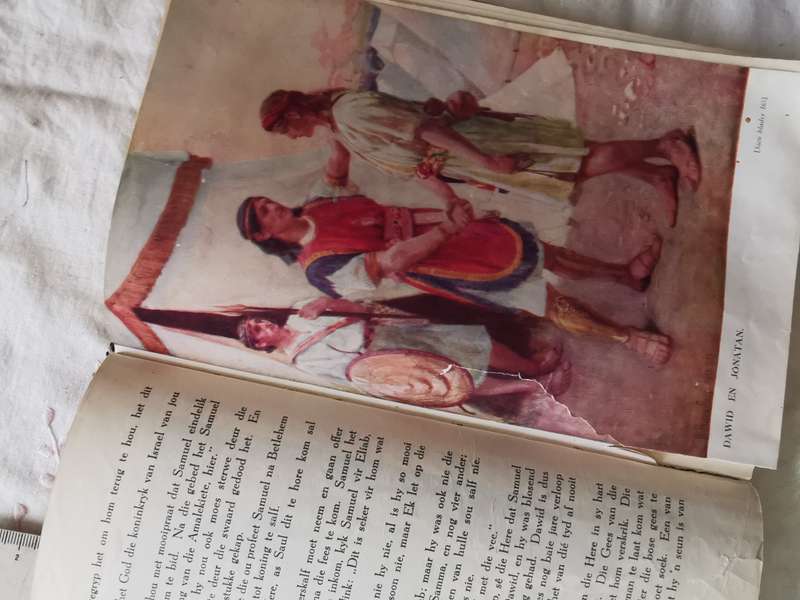 DIE AFR KINDERBYBEL 1949
