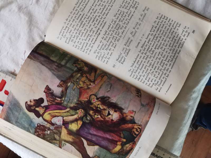 DIE AFR KINDERBYBEL 1949