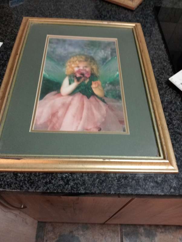 VINTAGE FRAMED PRINT WITH GLASS 1