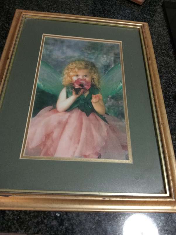 VINTAGE FRAMED PRINT WITH GLASS 1