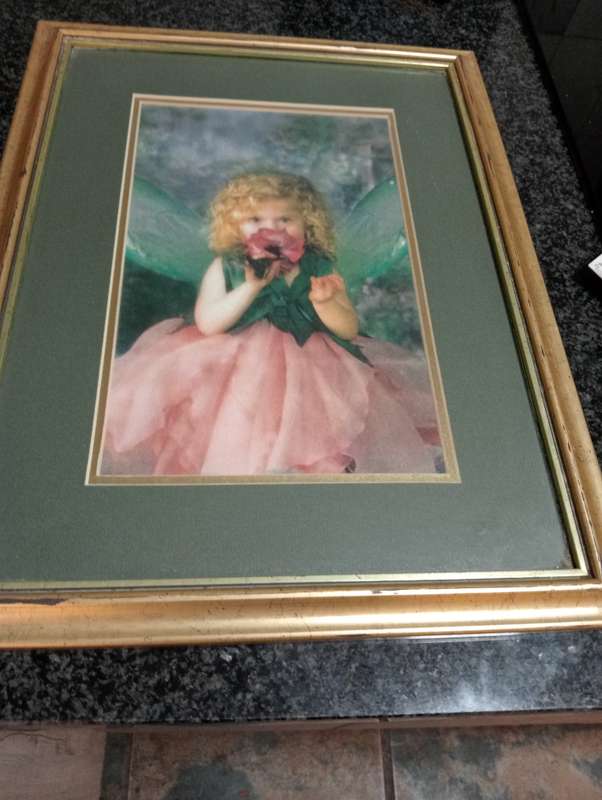 VINTAGE FRAMED PRINT WITH GLASS 1