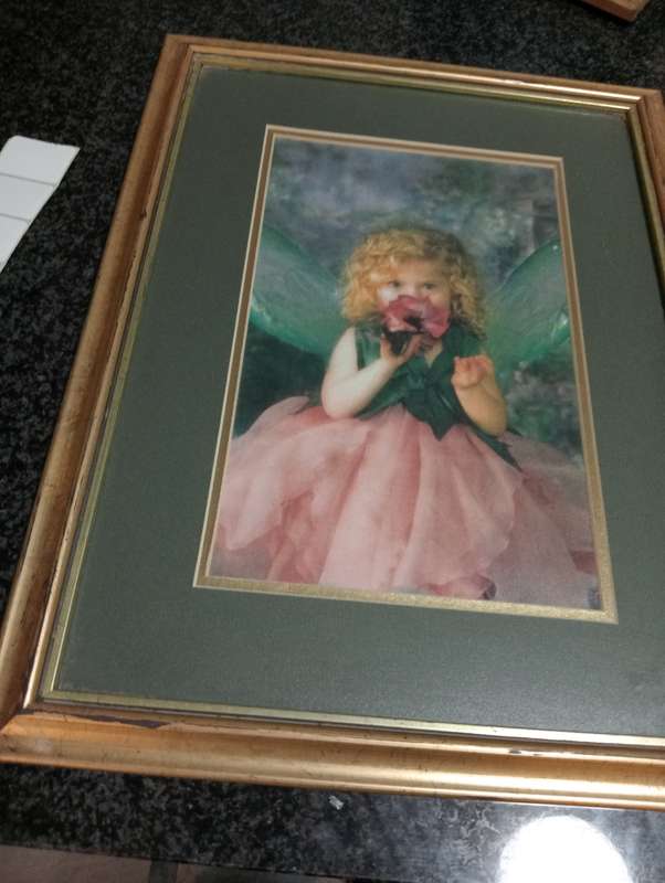VINTAGE FRAMED PRINT WITH GLASS 1
