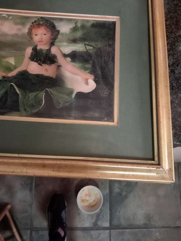 VINTAGE FRAMED PRINT 3