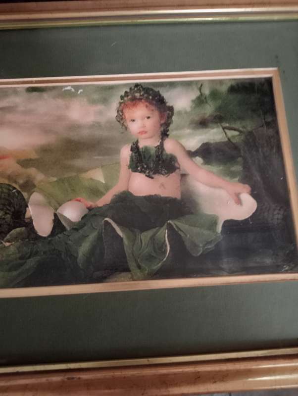 VINTAGE FRAMED PRINT 3