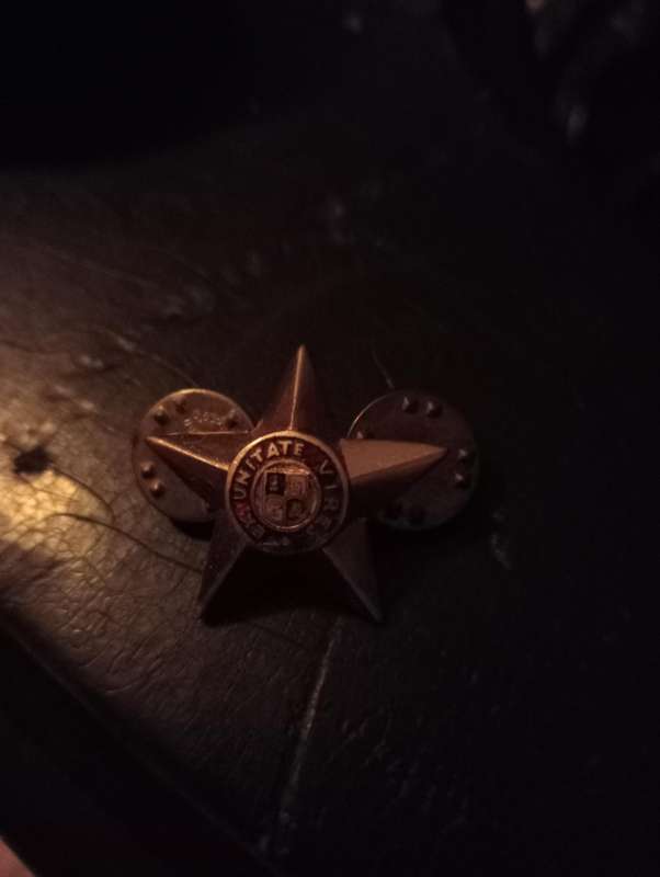 VINTAGE ARMY BAGE EX UNITE VIRES