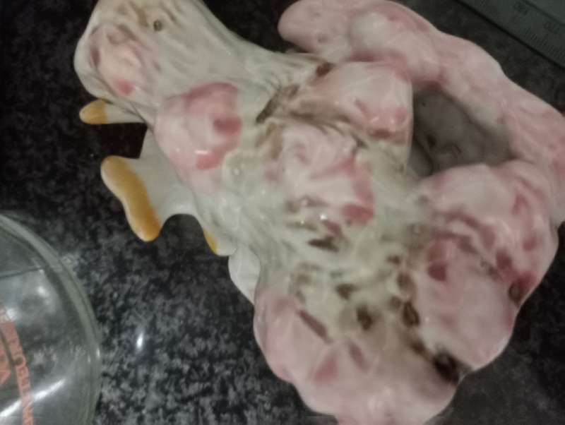 VINTAGE CHINESE FISH PORCELAIN FLOWER VASE