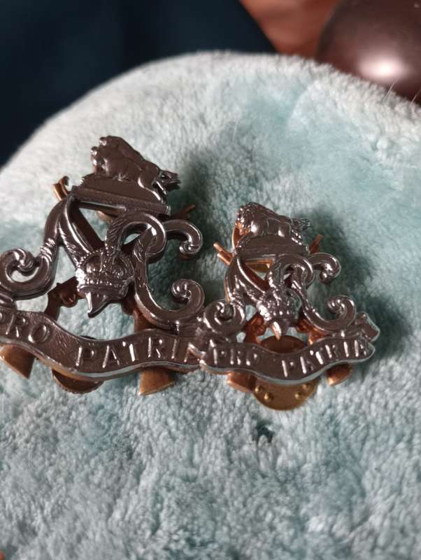VINTQAGE NATAL CARBINEERS PRO PATRIA SOUTH N AFRICAN ARMY BADGES