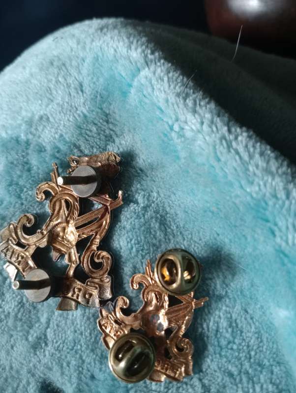 VINTQAGE NATAL CARBINEERS PRO PATRIA SOUTH N AFRICAN ARMY BADGES