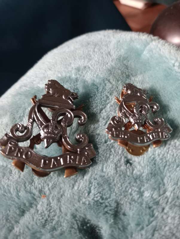 VINTQAGE NATAL CARBINEERS PRO PATRIA SOUTH N AFRICAN ARMY BADGES