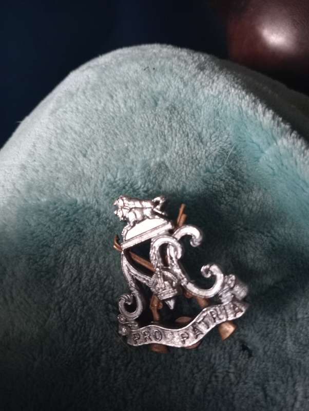 VINTQAGE NATAL CARBINEERS PRO PATRIA SOUTH N AFRICAN ARMY BADGES