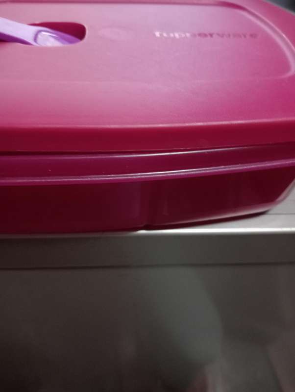 NEW 1 LITRE TUPPERWARE LUNCHBOX