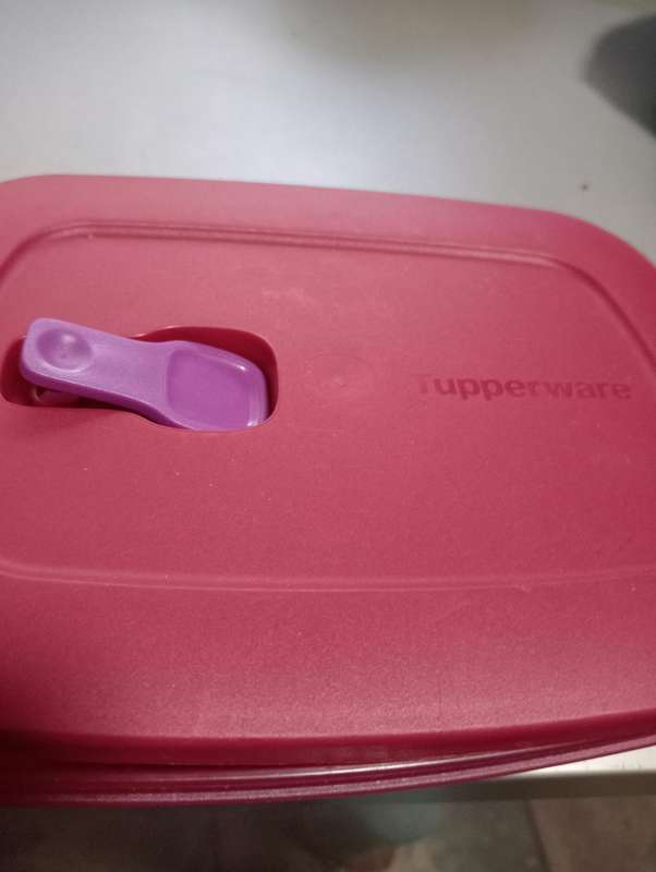 NEW 1 LITRE TUPPERWARE LUNCHBOX