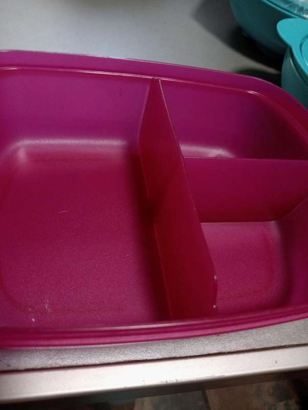 NEW 1 LITRE TUPPERWARE LUNCHBOX