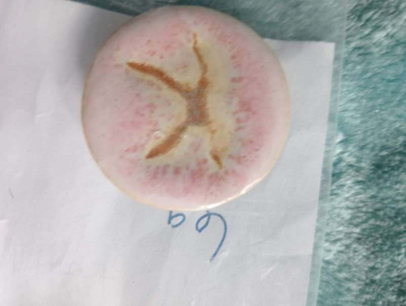 VINTAGE PORCELAIN HAND PAINTED BROOCH