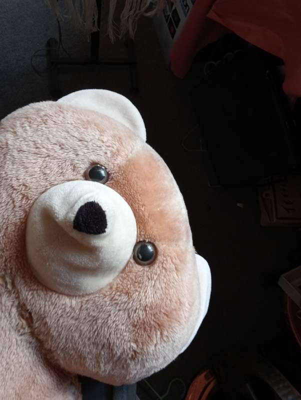 VINTAGE PRIMA TOYS 84CM STUFFED BEAR