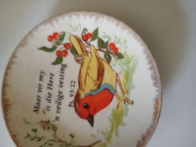 SMALL VINTAGE COLLECTABLE PLATE