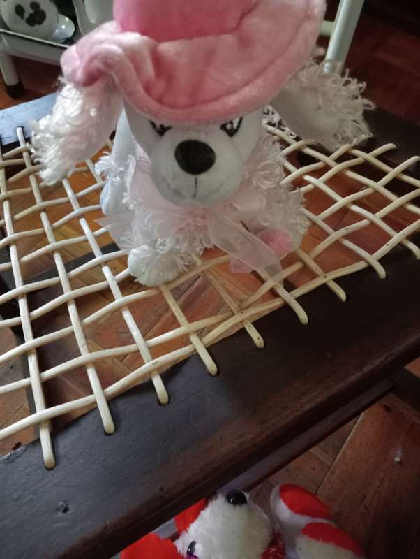 STUNNING STUFFED  DOG DOLL PINK HAT
