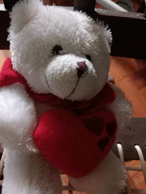 VINTAGE TEDDY WITH RED CUSHION