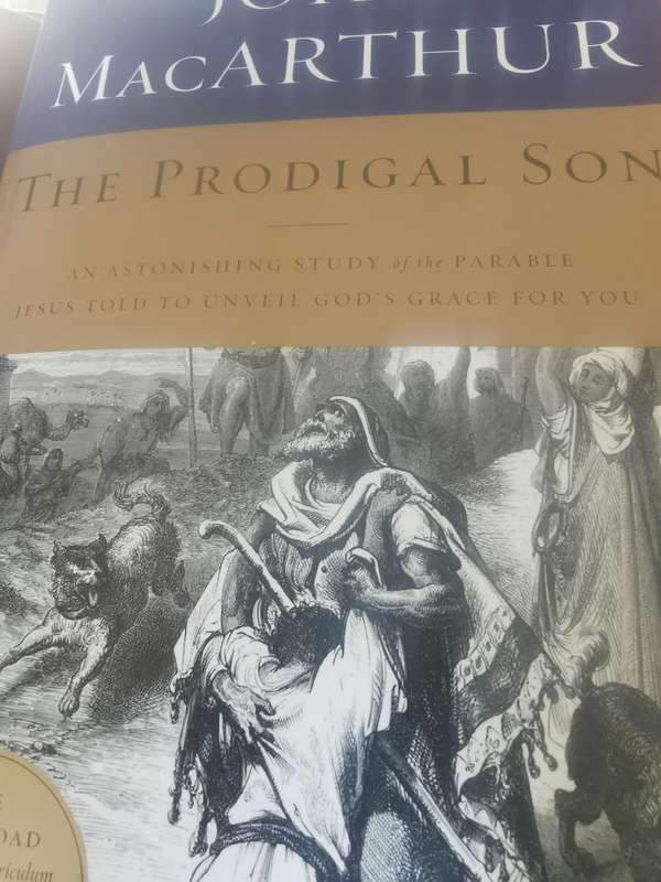 BOOK THE PRODIGAL SON