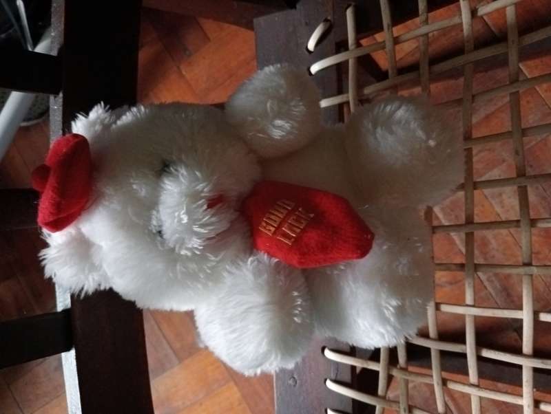 VINTAGE GOOD LUCK TEDDY