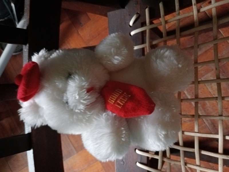VINTAGE GOOD LUCK TEDDY
