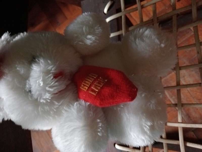 VINTAGE GOOD LUCK TEDDY